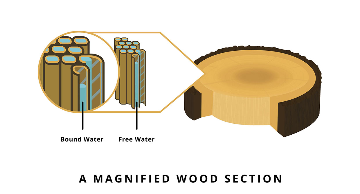 Timber brief 2_Wood Cells_Resized.jpg