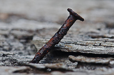 Timber Brief 4_Rusty Nail_Resized.jpg